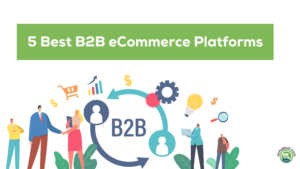 b2b eCommerce platforms