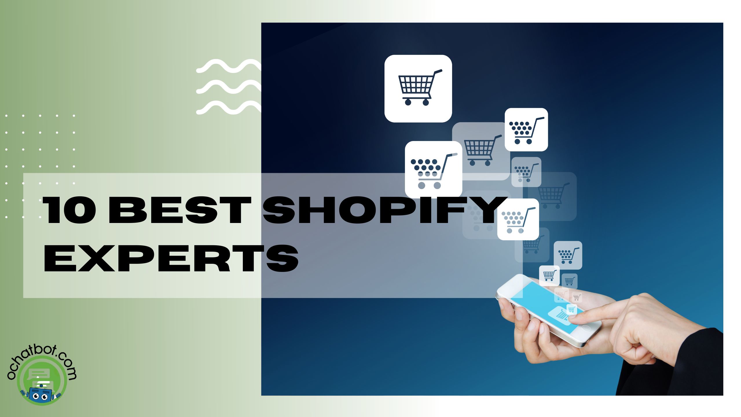 Shopify Services  World Class Shopify Expertise